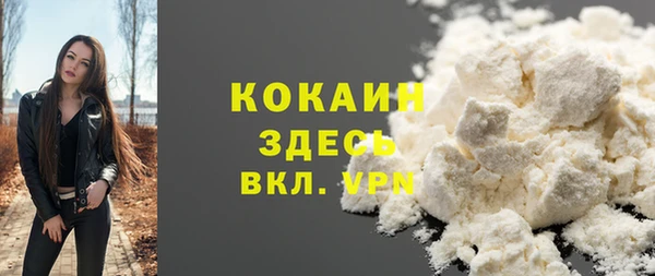 дурь Дмитровск