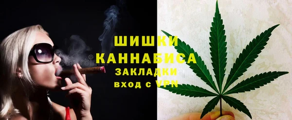 apvp Дмитриев