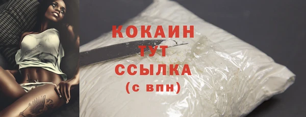 винт Дмитров