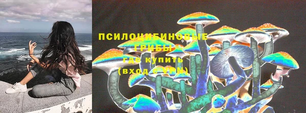 apvp Дмитриев