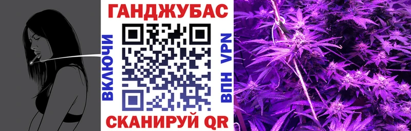Купить закладки  Новоаннинский  Каннабис индика 